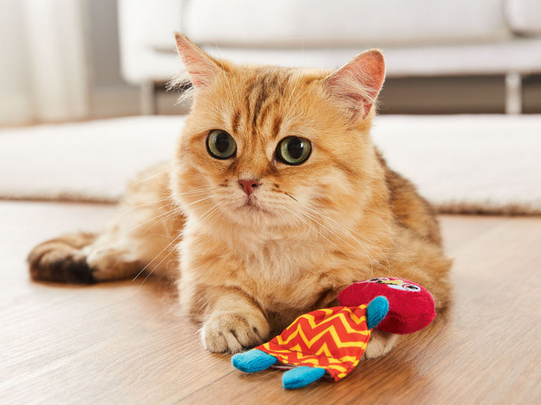 Pełny ekran: Zoofari Zabawka dla kota z kocimiętką, 1 sztuka - zdjęcie 5