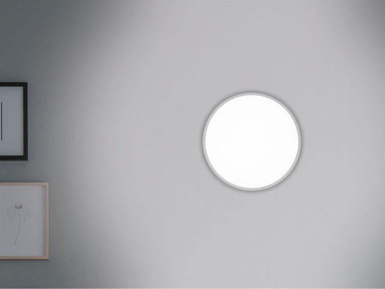 Pełny ekran: LIVARNO LUX Lampa naścienna lub sufitowa LED, 1 sztuka - zdjęcie 5