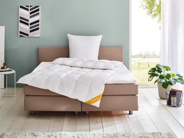Kołdra kasetowa z gęsiego puchu Balette deLuxe Gold-Edition medium