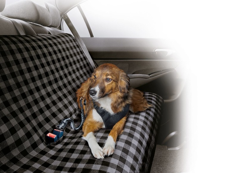 Pełny ekran: zoofari® Mata ochronna dla psa do samochodu - zdjęcie 4