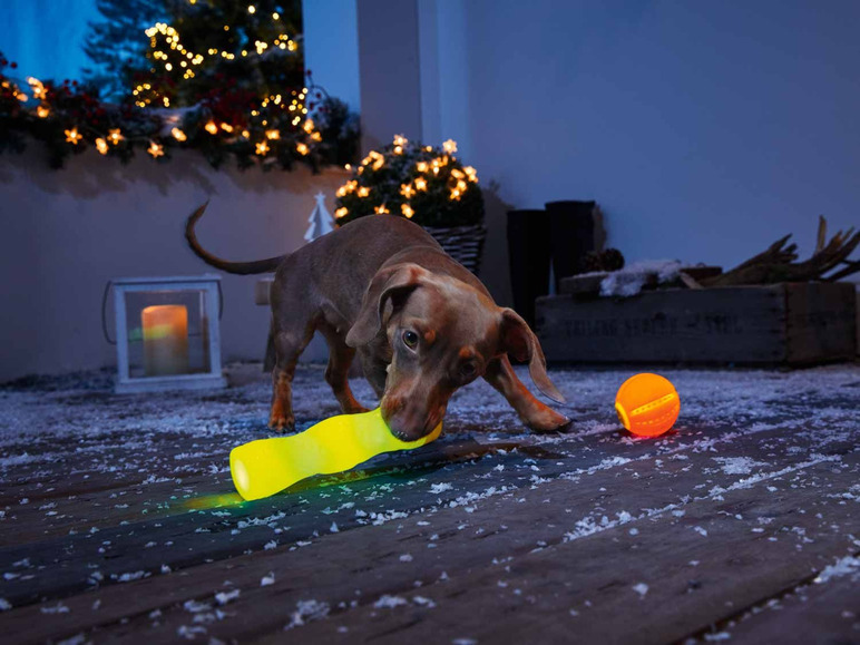 Pełny ekran: zoofari® Świecąca zabawka dla psa do aportowania, 1 zestaw - zdjęcie 2