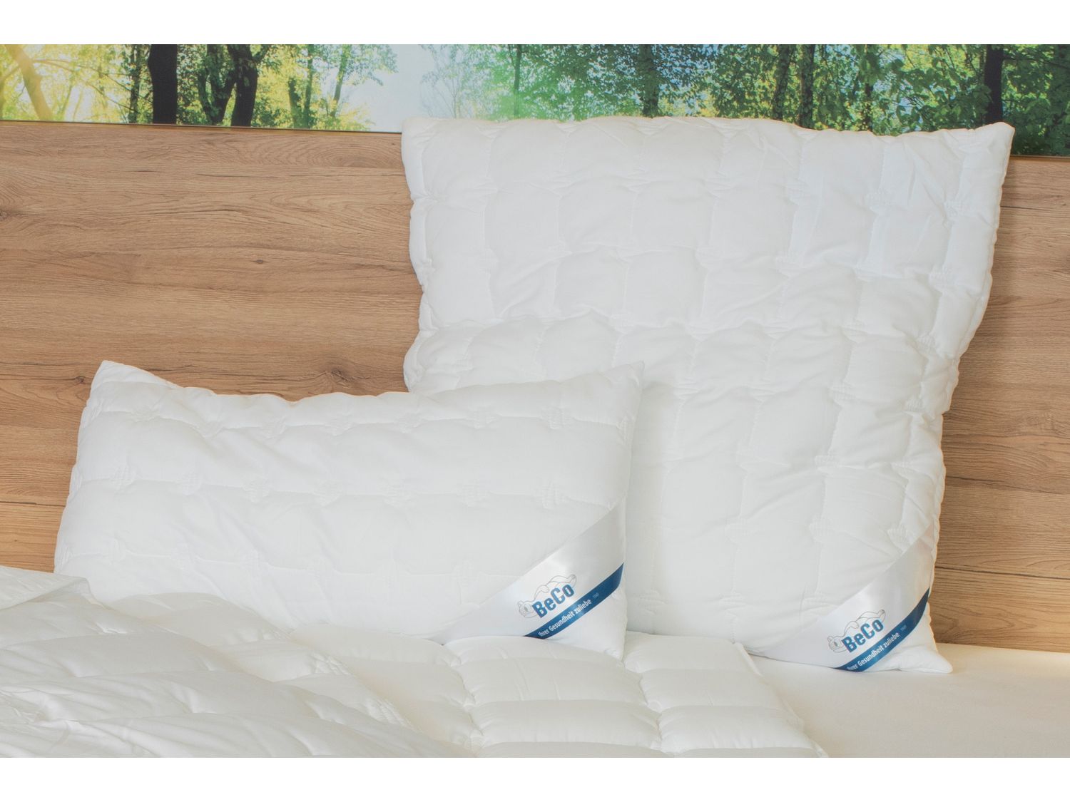 Poduszka BeCo „Medibett Cotton Soft”, idealna klimatyzacja, pikowana.
