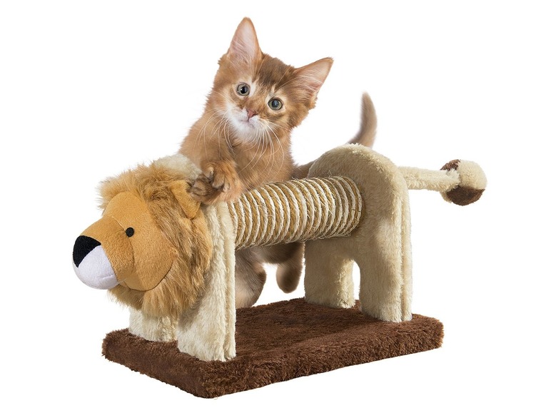 Pełny ekran: zoofari® Zabawka dla kota z drapakiem - zdjęcie 13