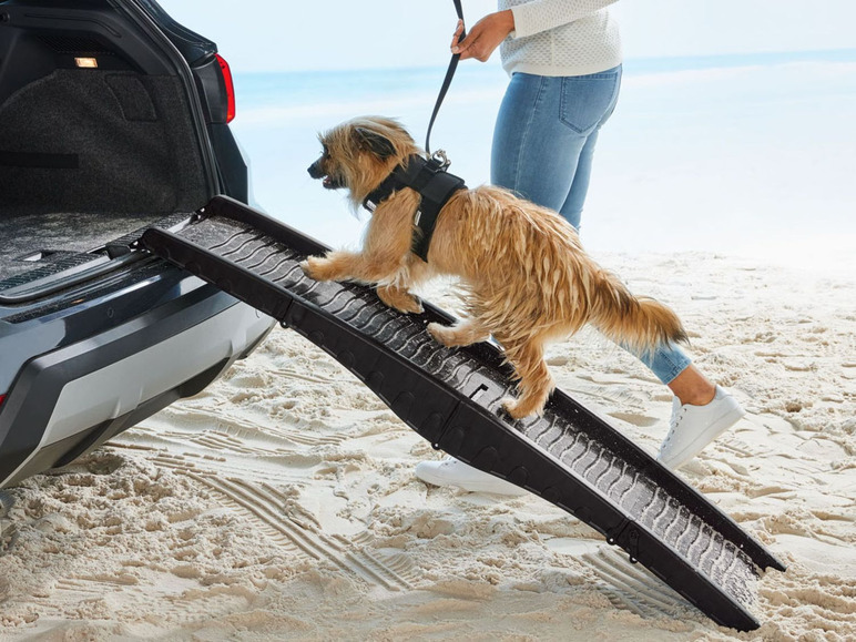 Pełny ekran: zoofari® Składana rampa dla psa - zdjęcie 1