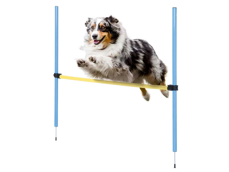 Pełny ekran: zoofari® Akcesoria do treningu agility dla psa, 1 sztuka lub 1 zestaw - zdjęcie 6