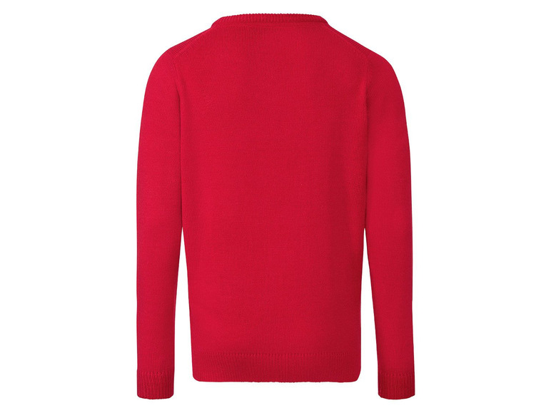 Pełny ekran: LIVERGY® Sweter męski z motywem świątecznym, 1 sztuka - zdjęcie 17