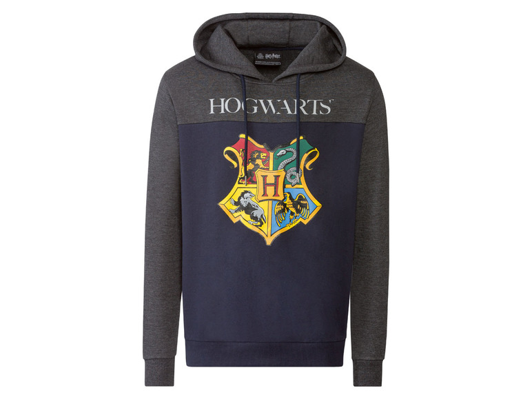 Pełny ekran: Bluza męska z kolekcji Harry Potter, 1 sztuka - zdjęcie 10