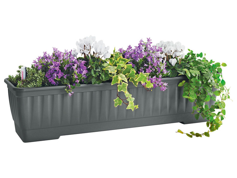 Pełny ekran: PARKSIDE® Skrzynka na kwiaty z systemem nawadniania, 60 cm, 1 sztuka - zdjęcie 7