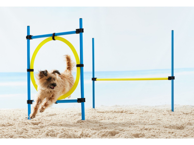 Pełny ekran: zoofari® Akcesoria do treningu agility dla psa, 1 sztuka lub 1 zestaw - zdjęcie 2