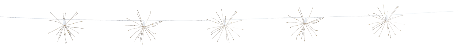 LIVARNO® Łańcuch świetlny »Dandelion« (Ciepła biel)