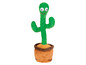 Mówiący kaktus