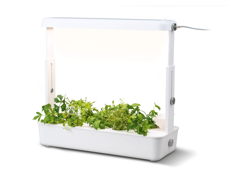 Pełny ekran: PARKSIDE Doniczka na rośliny, z podświetleniem LED - zdjęcie 1