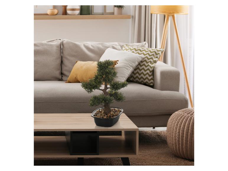 Sztuczne drzewko bonsai na drewnianym stoliku kawowym w salonie z beżową sofą.