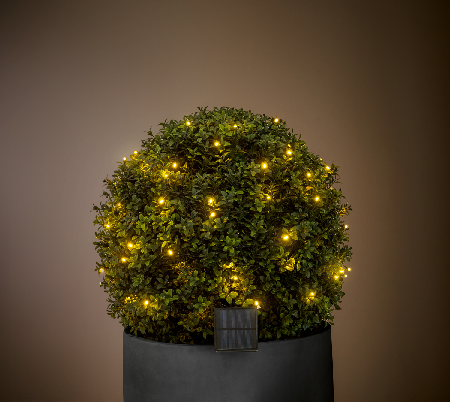 LIVARNO® Girlanda solarna LED (Ciepła biel)