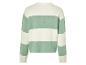 Biało-zielony sweter w paski.
