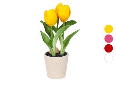 LIVARNO® Sztuczne tulipany w doniczce
