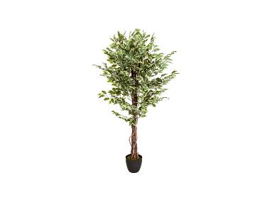 HJH OFFICE Sztuczna roślina / sztuczne drzewo FICUS tworzywo sztuczne.