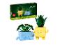 Zestaw LEGO Botanicals Happy Plants z dwoma roślinami do zbudowania w uroczych doniczkach.