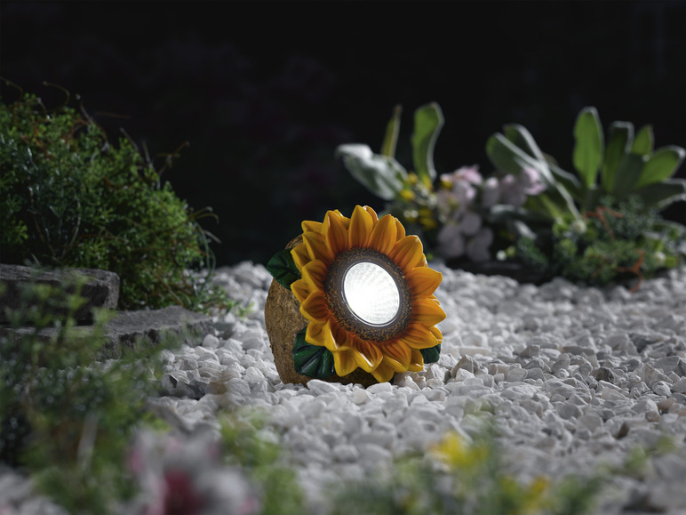 Pełny ekran: LIVARNO home Dekoracyjna figurka lampka ogrodowa LED, z modułem solarnym - zdjęcie 11