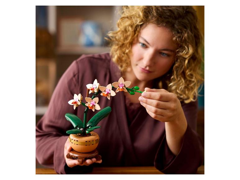 Mini-orchidea