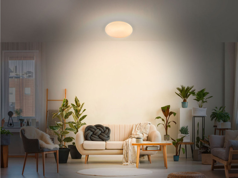 Pełny ekran: LIVARNO home Lampa sufitowa LED, sterowanie kolorem, 36,8 W, 1 szt. - zdjęcie 19