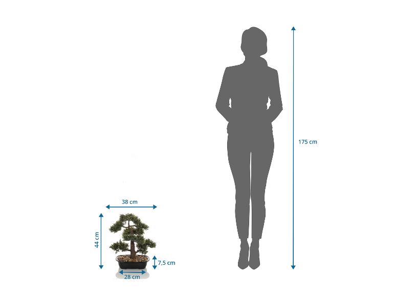 Sztuczne drzewko bonsai o wysokości 44 cm, obok sylwetka osoby o wzroście 175 cm.