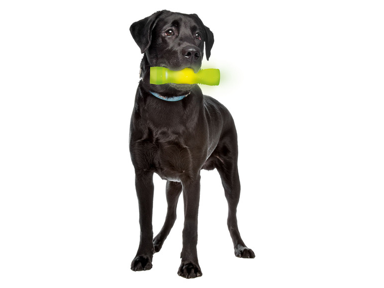 Pełny ekran: zoofari® Świecące zabawki dla psa LED - zdjęcie 9