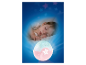 Śpiące dziecko koło projektor gwiazdki, lampki nocnej.