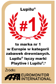 Kuchnia drewniana, 24 elementy