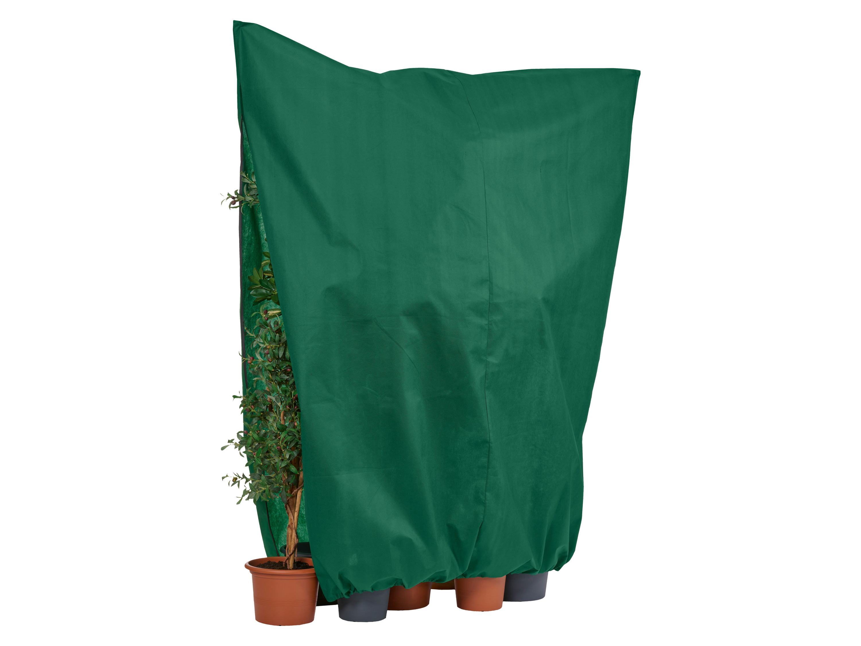 PARKSIDE® Kaptur ochronny z agrowłókniny L / XL / XXL (Zielony XXL)