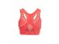 Widok z tyłu koralowego biustonosza sportowego z siateczkowymi detalami i zapięciem na haftki.