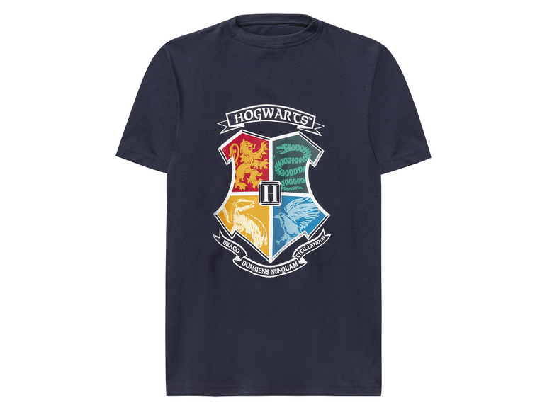 Pełny ekran: T-shirt chłopięcy z kolekcji Harry Potter, 2 sztuki - zdjęcie 3