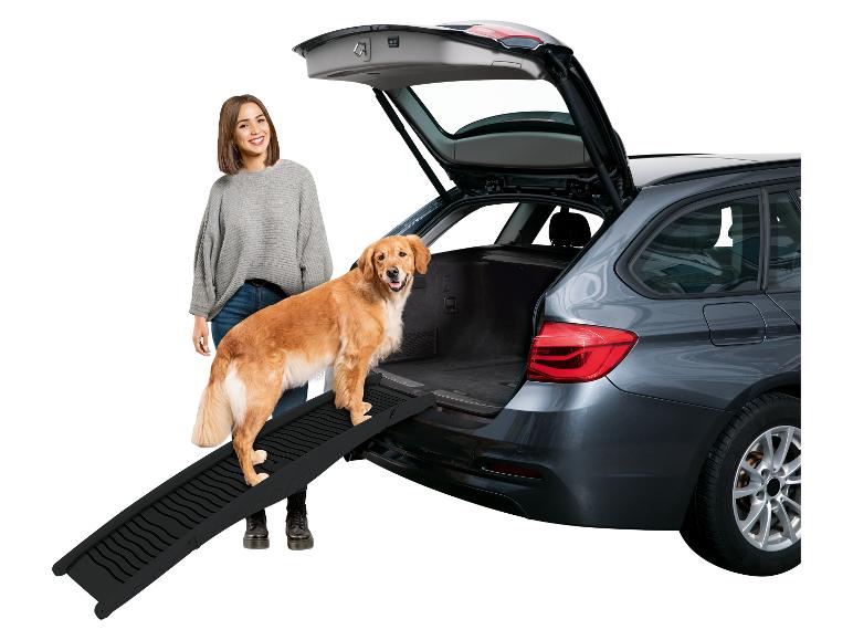 Rampa dla zwierząt, samochód i Golden Retriever.