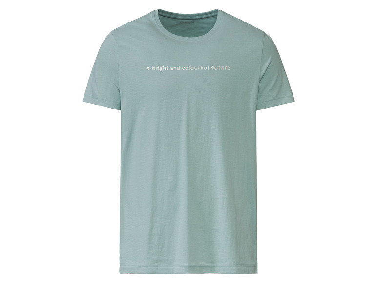 Pełny ekran: LIVERGY® T-shirt męski z bawełny, 2 sztuki - zdjęcie 16