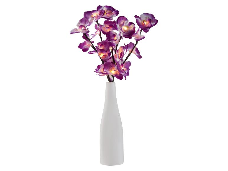 Podświetlane fioletowe orchidee w białym wazonie