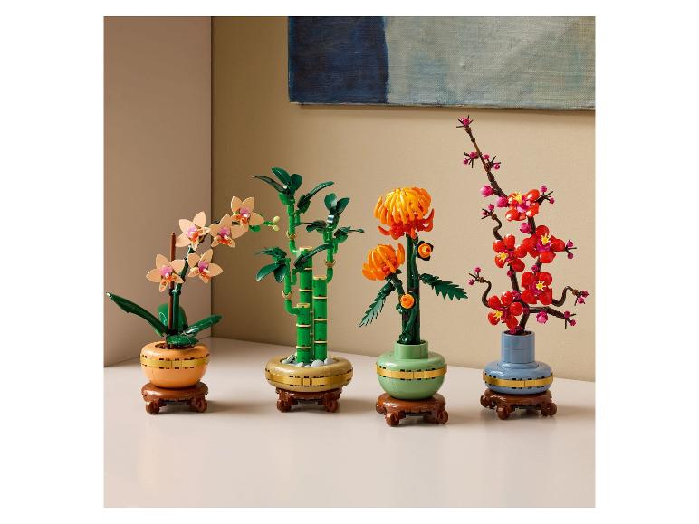 LEGO BOTANICALS 10344 Dracena sandera bambus | Lidl