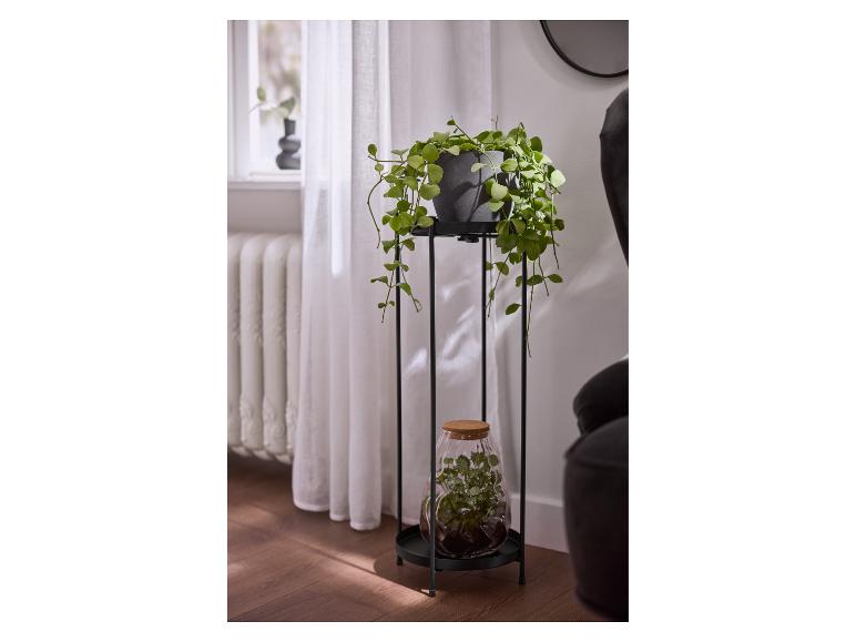 Zielona roślina doniczkowa na czarnym stojaku z butelką terrarium poniżej, obok okna.
