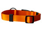 Pomarańczowy obroża dla psa z czarną klamrą.