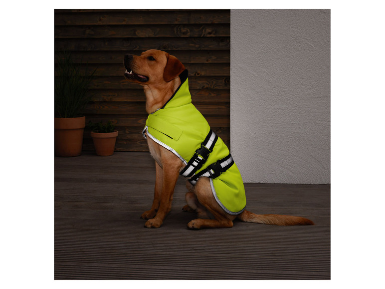 Pełny ekran: zoofari® Ubranko dla psa, odblaskowe i wodoodporne - zdjęcie 7