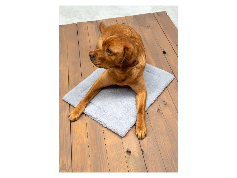 Brązowy pies leżący na szarym legowisku.