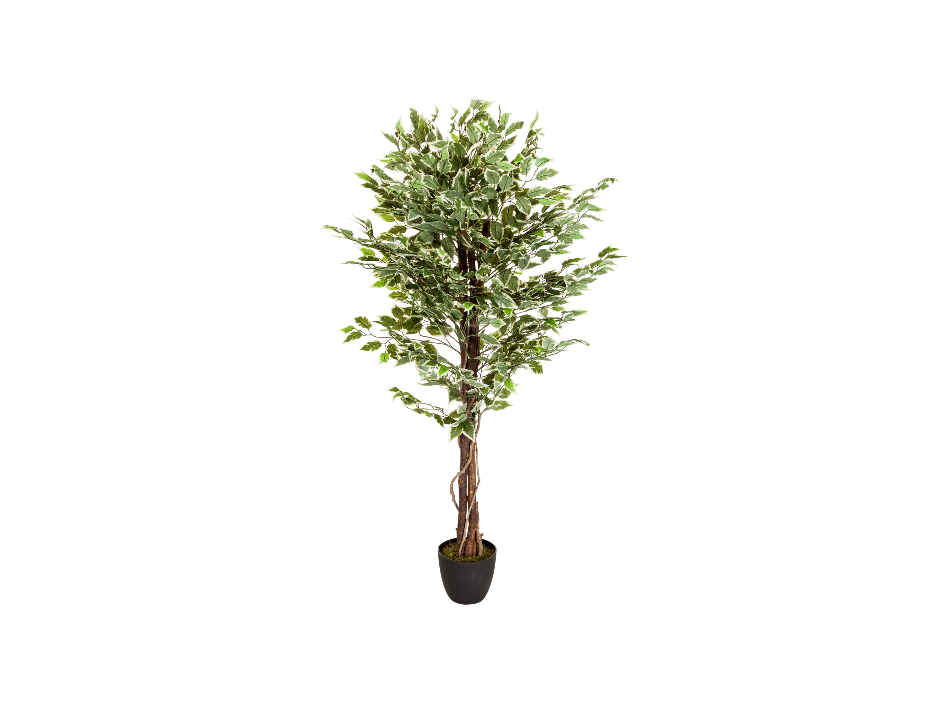hjh OFFICE  Sztuczne drzewo FICUS