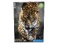 1000-elementowa puzzle Clementoni z jaguarem.