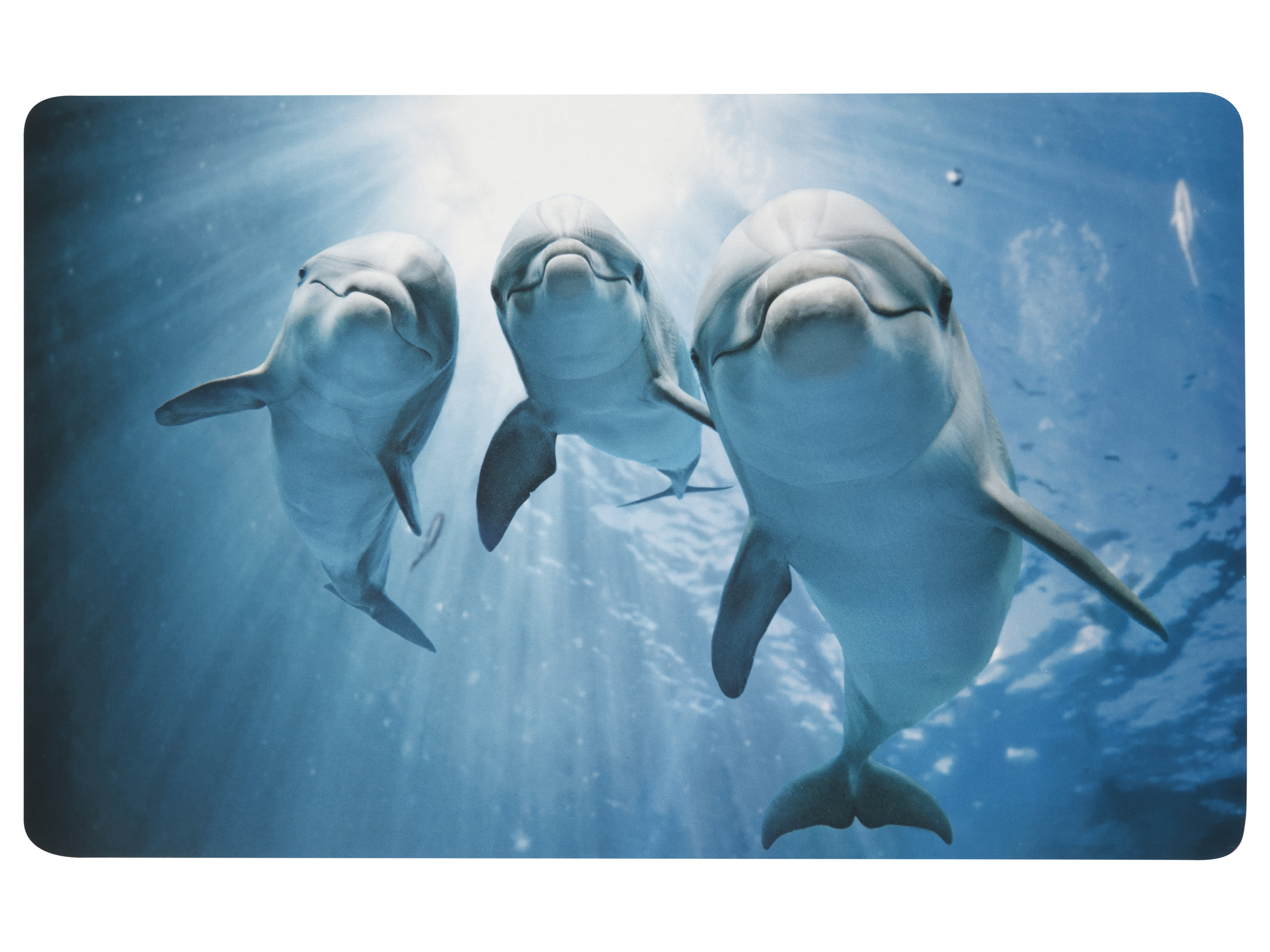 LIVARNO® Dywanik łazienkowy, 50 x 80 cm (Delfin)