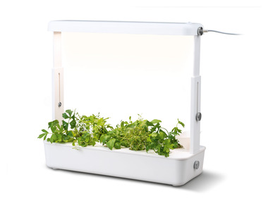PARKSIDE® Doniczka na rośliny, z podświetleniem LED