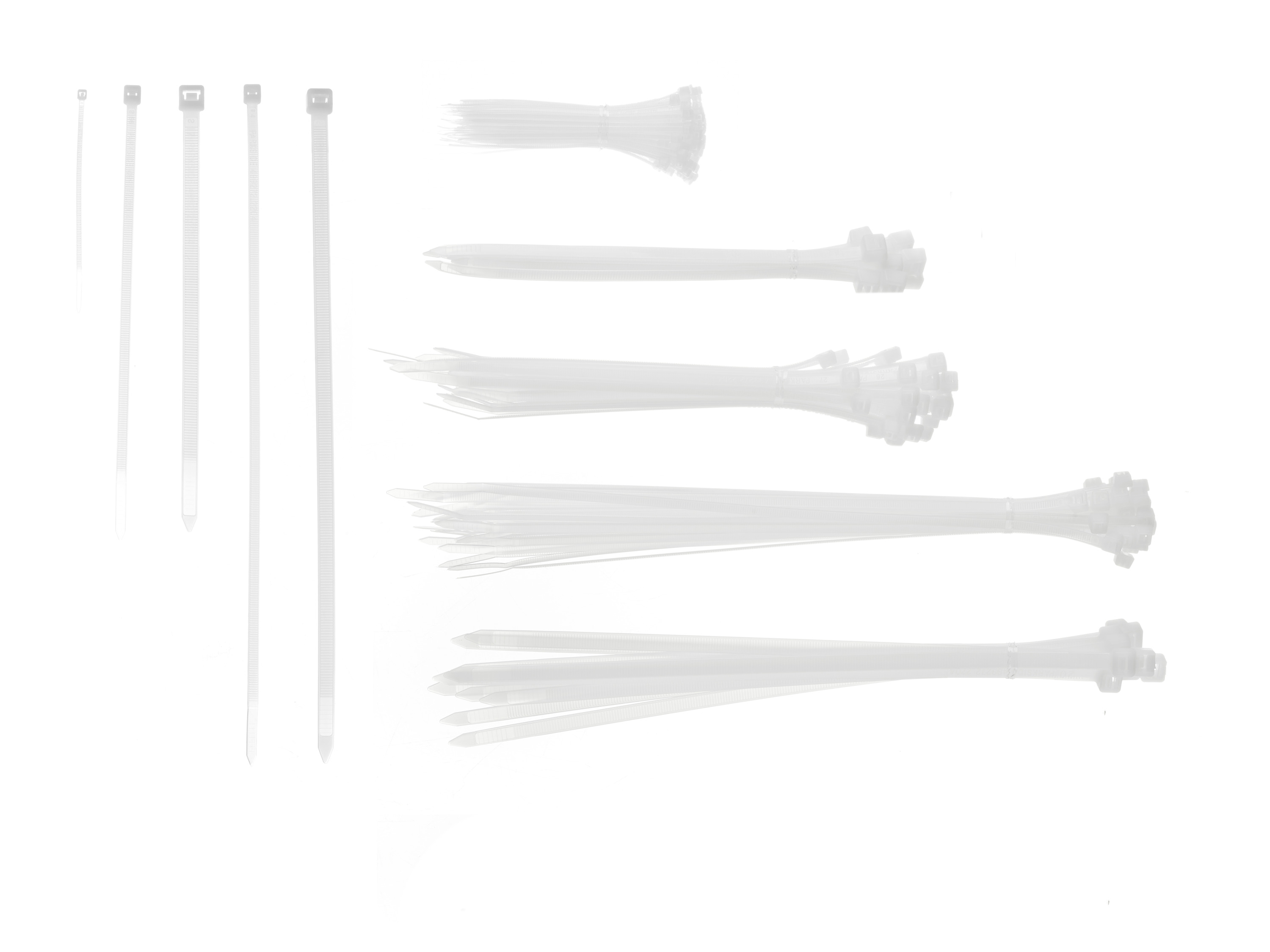 PARKSIDE® Zestaw opasek zaciskowych, 250 elementów (Biały)