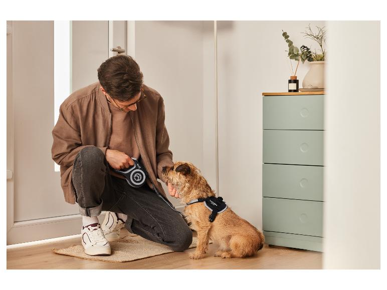 Mężczyzna przygotowuje się do spaceru z psem na smyczy Superbog.