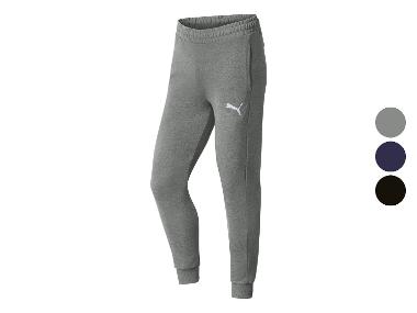 Puma Spodnie dresowe męskie teamGOAL 23 Casuals