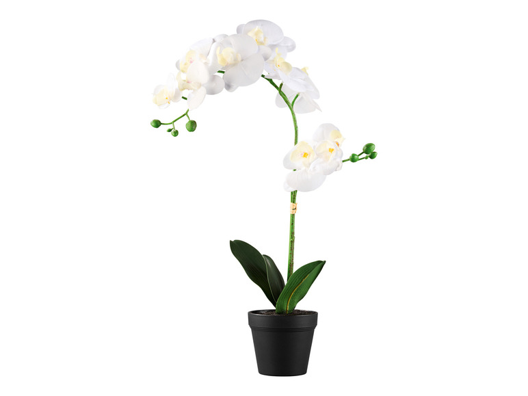 Sztuczny kwiat Orchidea \ Trawa ozdobna \ Hortensja