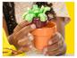 Dziecięce dłonie trzymające zabawkę doniczkę z zieloną rośliną Play-Doh