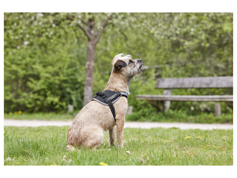 Pełny ekran: zoofari® Szelki dla psa, regulowane - zdjęcie 8